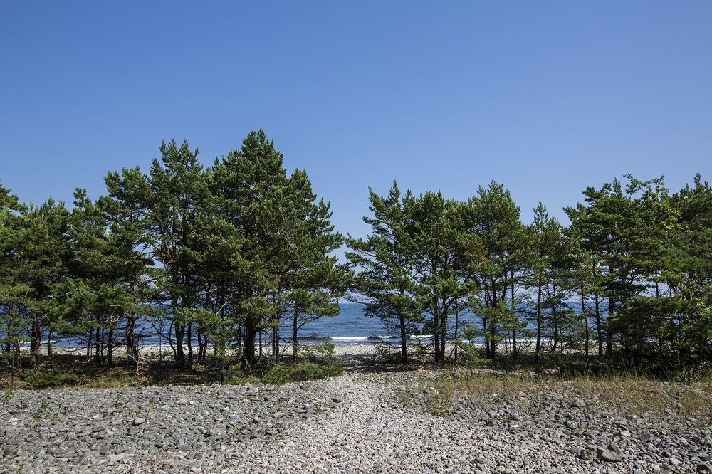 Stf Hagaby/Lantgarden Hostel Lottorp Экстерьер фото